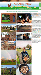Mobile Screenshot of cotcotedazur.com